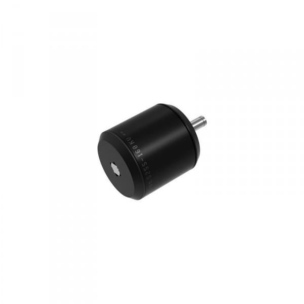 exway x1 Riot Pro Motor